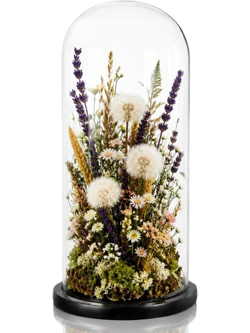 13.8" Glass Dome Display Cloche - Clear Decorative Bell Jar for Succulents